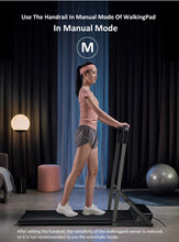 Load image into Gallery viewer, WalkingPad Foldable Handrail for A1 and A1 Pro